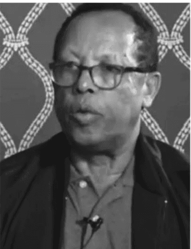 Lt. Gen. Taddesse Werede and Associates Escaped, Not Released: Col. Tewolde Embeb Tells UMD Media