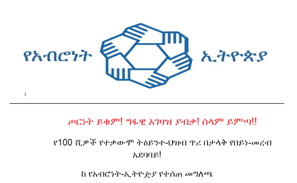 Mass Virtual Protest Planned Against Ethiopiaโs Ruling Party Amid Escalating Conflict