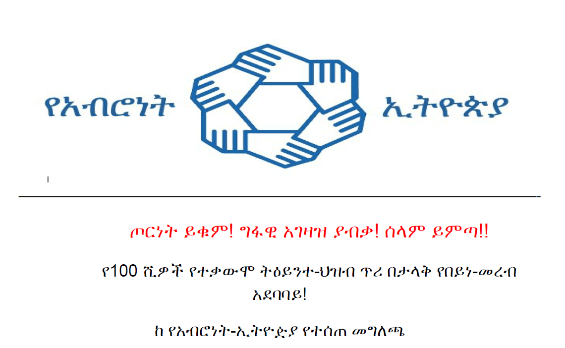 Mass Virtual Protest Planned Against Ethiopia’s Ruling Party Amid Escalating Conflict