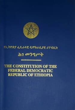 Open Letter to All Tigrayans and Tigray-Affiliated Institutions Across the World